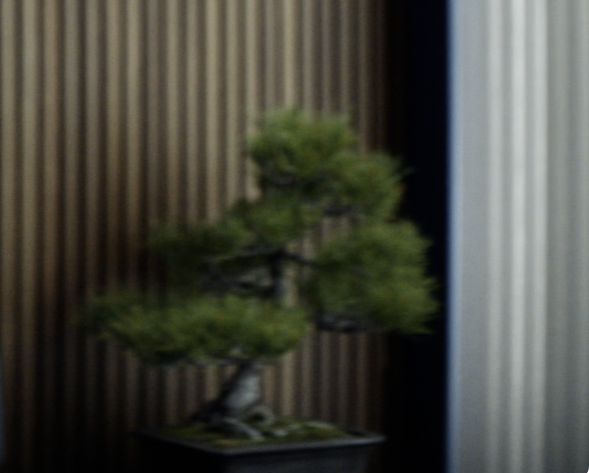 bonsai.png