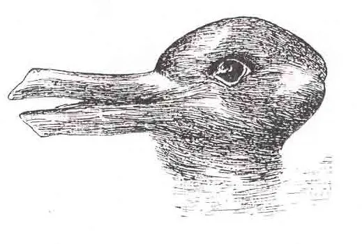 duckrabbit.webp