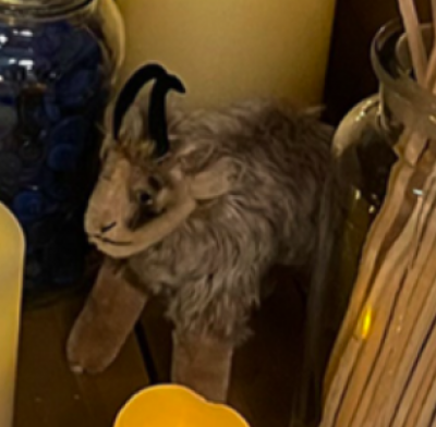 Plush ram or goat toy